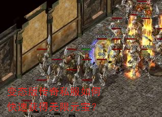 ��̬�洫��˽����ο��ٻ������Ԫ����