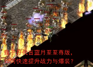���ӵ���������������棬��ο�������ս���뱬װ��