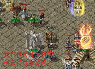 ���Ŵ��濪��ն��λ����ϸ���ԣ�