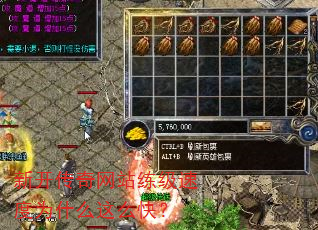�¿�������վ�����ٶ�Ϊʲô��ô�죿