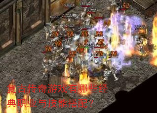 ���Ŵ�����Ϸ����Щ����ְҵ�뼼�ܴ��䣿