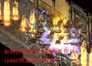 ����ó��临�Ŵ��������vip666��������ս����