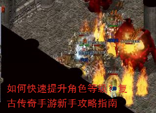 ��ο���������ɫ�ȼ������Ŵ����������ֹ���ָ��