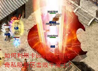 ������ÿ�bug�����ڴ���˽����������ţħ����