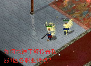 如何快速了解传奇私服1区各职业特点? 如何快速了解传奇私服1区各职业特点?