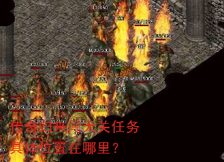 �������������������λ�������