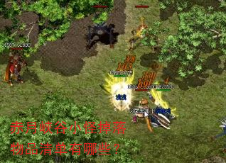 赤月峡谷小怪掉落物品清单有哪些? 赤月峡谷小怪掉落物品清单有哪些?