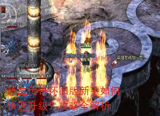 ��Ѫ���滳�ɰ�������ο�������������ȫ����