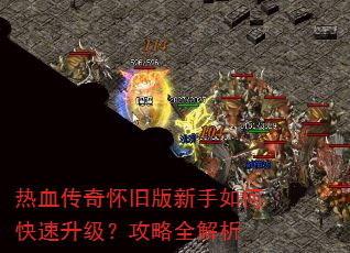 ��Ѫ���滳�ɰ�������ο�������������ȫ����