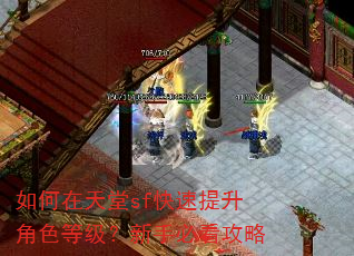 ���������sf����������ɫ�ȼ������ֱؿ�����
