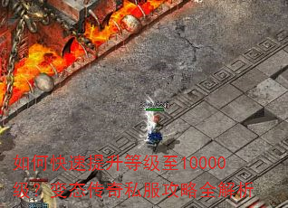 ��ο��������ȼ���10000������̬����˽������ȫ����