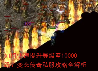 ��ο��������ȼ���10000������̬����˽������ȫ����