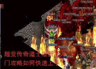 ���䴫���ʿ���������Ź�����ο������֣�