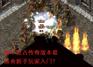 �ĸ����Ŵ���汾���ʺ�����������ţ�