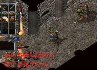 ��Ѫ����˽����վ�ĸ����ȶ����棿