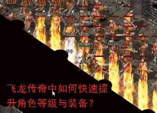 ������������ο���������ɫ�ȼ���װ����