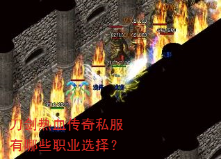 ������Ѫ����˽������Щְҵѡ��