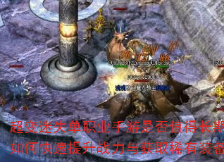 ������ʧ��ְҵ�����Ƿ�ֵ�ó����棿��ο�������ս�����ȡϡ��װ����