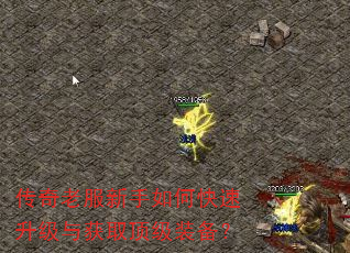 传奇老服新手如何快速升级与获取顶级装备? 传奇老服新手如何快速升级与获取顶级装备?
