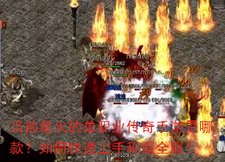 ��ǰ���ĵ�ְҵ�����������Ŀ��ο������ֳư�ȫ����