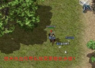 �뿪��Ѫ����˽����Ҫ��Щ���裿