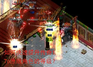如何快速提升传奇1.76原版角色的等级? 如何快速提升传奇1.76原版角色的等级?