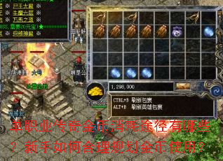 ��ְҵ����������;������Щ��������κ����滮���ʹ�ã�