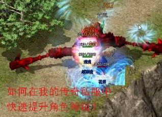 ������ҵĴ���˽���п���������ɫ�ȼ���