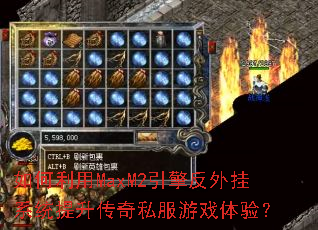 �������MaxM2���淴���ϵͳ��������˽����Ϸ���飿