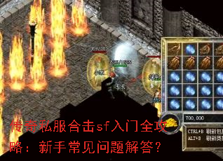 ����˽���ϻ�sf����ȫ���ԣ����ֳ���������