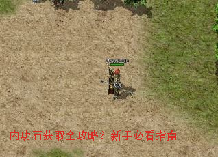 �ڹ�ʯ��ȡȫ���ԣ����ֱؿ�ָ��