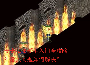 ����˽����������ȫ���ԣ�����������ν����