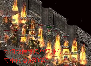 ��ο��ٷ��ֵ�ְҵ�����е�����BOSS��