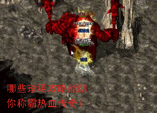 ��Щ��ϡ����������ư���Ѫ���棿