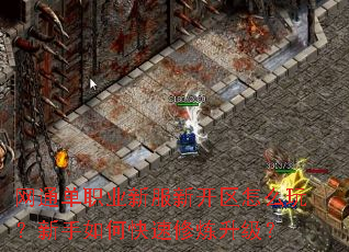 ��ͨ��ְҵ�·��¿�����ô�棿������ο�������������