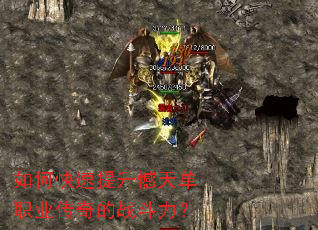 ��ο����������쵥ְҵ�����ս������