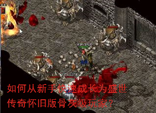 ��δ����ֿ��ٳɳ�Ϊʢ�����滳�ɰ�ǻҼ���ң�