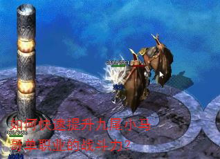 ��ο���������βС���絥ְҵ��ս������