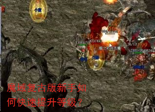 魔域复古版新手如何快速提升等级? 魔域复古版新手如何快速提升等级?