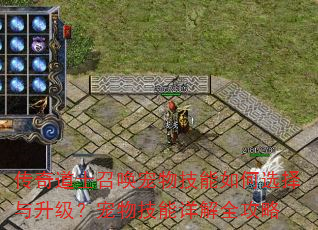 传奇道士召唤宠物技能如何选择与升级?宠物技能详解全攻略 传奇道士召唤宠物技能如何选择与升级?宠物技能详解全攻略