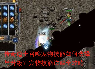 传奇道士召唤宠物技能如何选择与升级?宠物技能详解全攻略 传奇道士召唤宠物技能如何选择与升级?宠物技能详解全攻略