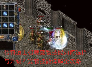 传奇道士召唤宠物技能如何选择与升级?宠物技能详解全攻略 传奇道士召唤宠物技能如何选择与升级?宠物技能详解全攻略