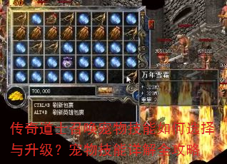 传奇道士召唤宠物技能如何选择与升级?宠物技能详解全攻略 传奇道士召唤宠物技能如何选择与升级?宠物技能详解全攻略
