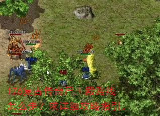 176复古传奇尸王殿路线怎么走?求详细攻略指引。 176复古传奇尸王殿路线怎么走?求详细攻略指引。