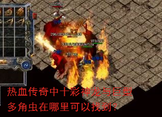 热血传奇中十彩神龙与巨型多角虫在哪里可以找到? 热血传奇中十彩神龙与巨型多角虫在哪里可以找到?