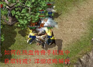 如何在热血传奇手机版中获取特戒?详细攻略解析 如何在热血传奇手机版中获取特戒?详细攻略解析