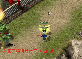 如何召唤情缘传奇中的白虎? 如何召唤情缘传奇中的白虎?