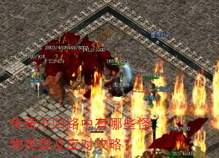 传奇不归路中有哪些怪物类型及应对攻略? 传奇不归路中有哪些怪物类型及应对攻略?