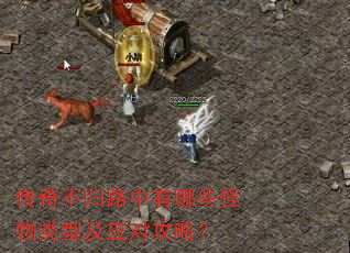 传奇不归路中有哪些怪物类型及应对攻略? 传奇不归路中有哪些怪物类型及应对攻略?