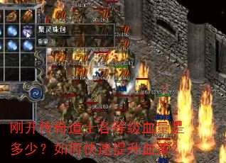 刚开传奇道士各等级血量是多少?如何快速提升血量? 刚开传奇道士各等级血量是多少?如何快速提升血量?
